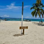 21f72a17 03d9 43a8 99f7 39c03d664ff2