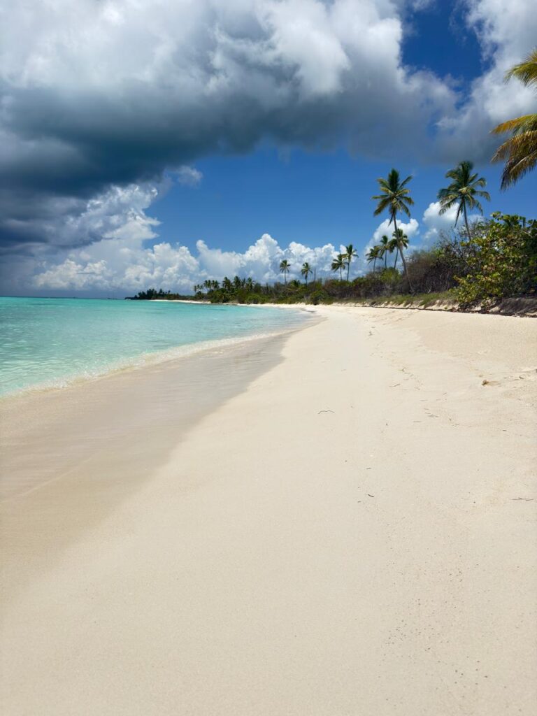 WhatsApp Image 2025 11 02 at 22.24.38